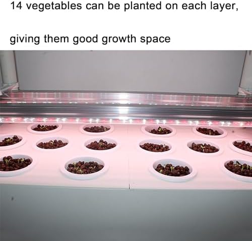 Hydroponics Garden,Indoor Vertical Farming Garden Planter, Smart Herb Garden with Timing Plug Automatic Watering for Home Indoor Gardening System(Without Light,1 Layer) - Image 6