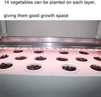 Hydroponics Garden,Indoor Vertical Farming Garden Planter, Smart Herb Garden with Timing Plug Automatic Watering for Home Indoor Gardening System(Without Light,1 Layer) - Image 6