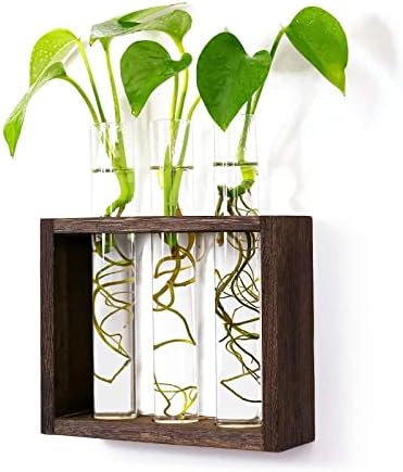 Wall Mounted Hanging Glass Test Tube Planter Propagation Station Glass Vase Rack with Wood Stand, Plant Terrarium Holder for Hydroponics Succulent Air Bamboo Plants with Test Tube - Image 5