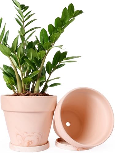 INGOFIN 8 Inch Terracotta & Clay Pots for Plants with Saucers, 2 Pack by INGOFIN