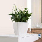 Lechuza Quadro LS 28 Black High Gloss, Self-Watering Square Planter, H10.2 L11 W11 in - Image 2
