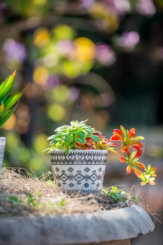S/3 Terracotta Pots with Black and White Geometric Design - Same Size, Crackled Finish, Decorative Planters for Succulents, Indoor/Outdoor Plant Pots, Boho Vintage Home Décor - D5.5 x 4.5 - Image 7