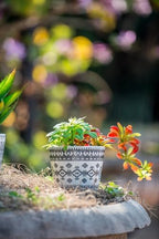 S/3 Terracotta Pots with Black and White Geometric Design - Same Size, Crackled Finish, Decorative Planters for Succulents, Indoor/Outdoor Plant Pots, Boho Vintage Home Décor - D5.5 x 4.5 - Image 7