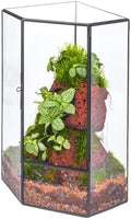 NCYP Wall Corner Geometric Glass Terrarium for Moss, Small Plants by NCYP