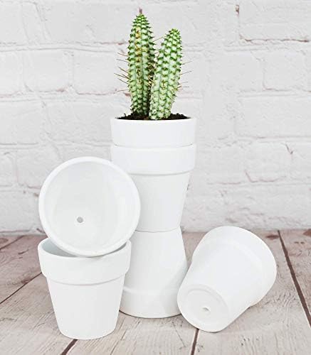 40 Pcs White Terracotta Pot - 2.5 Inch Mini Clay Pots with Drainage Holes Flower Nursery Terra Cotta Pots for Succulent Plants, Crafts, Wedding Baby Shower Favor - Image 7