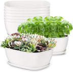 Oliz Set of 8 White Oval Shallow Herb Garden Planters with Drainage Holes and Trays (8.66 Inch) Plant Pots for Herbs Basil Orchids Succulents, Modern Herb Garden Planter for Indoor/Outdoor Plants by Oliz