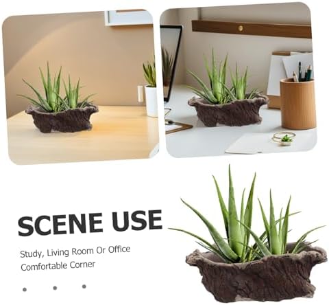 Ciieeo Unique Cement Planter Retro Tree Root Design Flower Pot for Indoor Desk Office Decor Sturdy Succulent Container for Small Plants Bonsai Memorable for Plant Lovers - Image 3