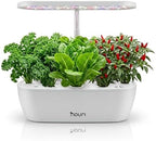 Nouri Hydroponics Growing System, 12 pod Smart Indoor Herb Garden Kit with LED Grow Lights, Hydroponic Herb Garden Indoor for Plant Lovers, Gardeners, Kitchen, Basil Seeds Included by Nouri