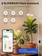 GLOWRIUM Grow Lights for Indoor Plants,Full Spectrum Plant Light with Stand - Image 3