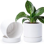 Phoenix Vine 6 Inch Planter Pot with Drainage Hole & Saucer, Deep Water Catch Tray, Straight Cylindrical Round Pot for Plants, Matte White, Pack of 2, 23-B-S-2 by Phoenix+Vine