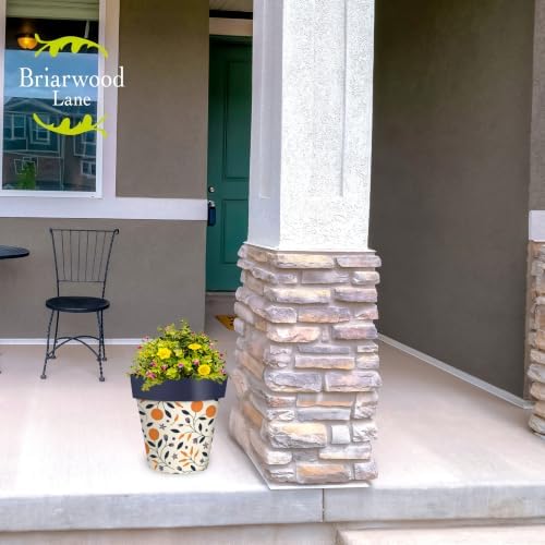 Briarwood Lane Everyday Planter 11.75 x 11 x 11 Citrus and Vines Medium - Image 4