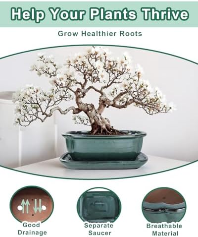 vensovo 10.5 Inch Ceramic Bonsai Pot with Drainage Hole and Saucer, Green - Image 4