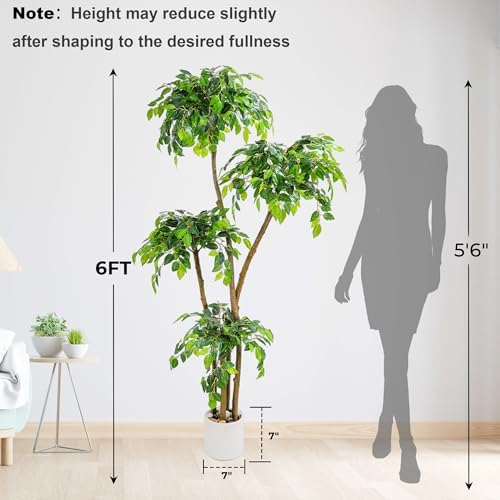 6FT Artificial Ficus Tree with White Planter, Moss and Pebbles - Image 5