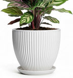Ceramic Pots for Plants, 6 Inch Plant Pot with Drainage Hole and Saucer, Round Ceramic Flower Pots for Indoor Plants, Modern Small Succulent Planter, Room Home Decor, Plant Lover Gifts, White by Unknown