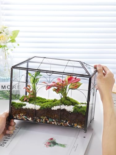 REDHUGO Glass Planter Terrarium with Lid, Indoor Display Box, Black - Image 4