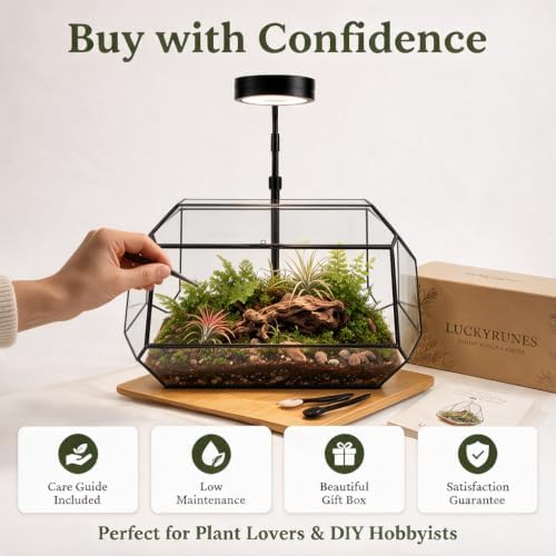Luckyrunes Complete Glass Terrarium Kit with Live Moss, Rectangle - Image 7