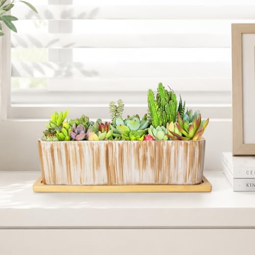 Succulent Pots, 12'' Long Rectangle Planters with Tray, Windowsill Planter - Image 6