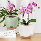 5Packs Self Watering Orchid Pots for Indoor Plants,5.8 Inch Macetas para Orqudeas,Flower Pots for Indoor Plants with Holes(White) - Image 4