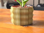 Spiny Wave Indoor Planter with Drain Holes | 3D Printed Modern Geometric Pot for Home & Office | 2" 3" 4" 6" Sizes | Gift for Plant Lovers (Birch, 6") by Unknown
