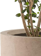 Round Concrete/Fiberglass Indoor & Outdoor Lightweight Decorative Plant Pots with Drainage Hole, Set of 3, 15.8", 12.5" & 9.8" L, Weathered Concrete - Image 4