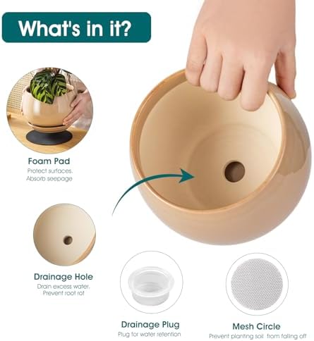 vancasso 3-Pack Ceramic Plant Pots, 3.7/4.8/6.2 Inch Indoor Planters with Saucers & Drainage Hole Planter pots for Indoor Plants and Flower, Brown - Image 3
