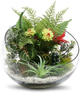 WGV Slant Cut Bowl Glass Vase Bulk, Width 11", Height 9.5", Clear Terrarium, Candy Dish, Fruit Jar, Floral Container for Wedding Party Event, Home Office Decor, 2 Pieces - Image 4