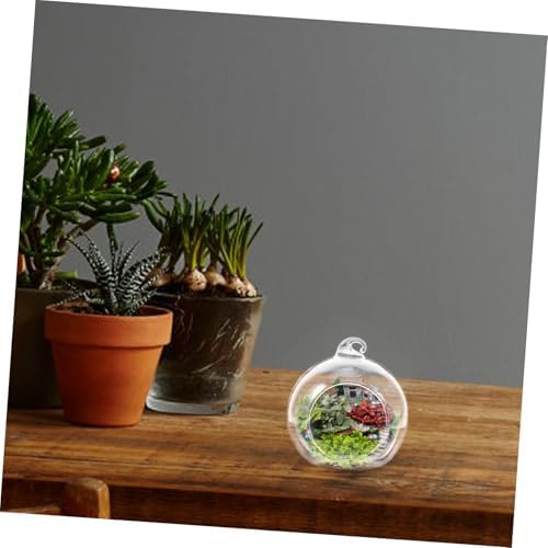 Xmas Hanging Globe Bottle 12pcs Glass Globe Terrarium for Plants - Image 7