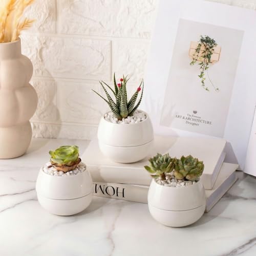 Willowy 3.5 Inch Small Succulent Pots - 3pk, Mini/Small White Ceramic Succulent Pots - No Plants Included by Willowy