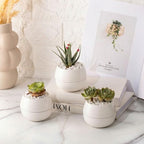 Willowy 3.5 Inch Small Succulent Pots - 3pk, Mini/Small White Ceramic Succulent Pots - No Plants Included by Willowy