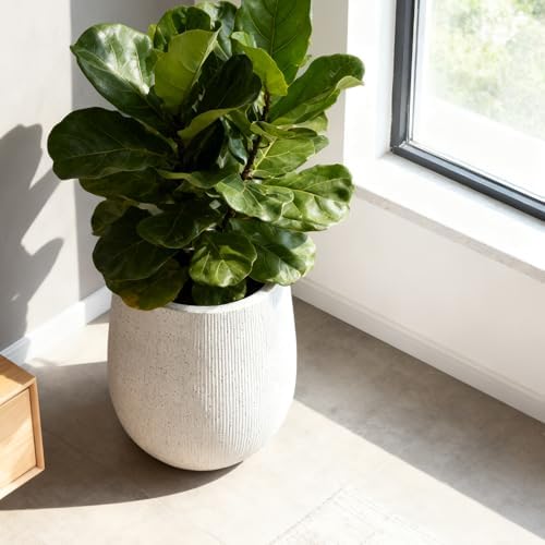 Worth Garden White Large Round Planter, 12.5" Dia x 18.5" H Lightweight Magnesium Oxide Cement Plant Pot with a Striped Textured Finish, Raised Pattern Concrete Look, Drainage Hole, Indoor & Outdoor - Image 6