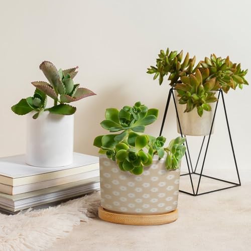 Timur in Blue Background Ceramic Planter Geometric Modern Pots for Plants with Drainage Holes and Saucers Pot for Home Office Decoration - Image 4