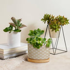 Timur in Blue Background Ceramic Planter Geometric Modern Pots for Plants with Drainage Holes and Saucers Pot for Home Office Decoration - Image 4