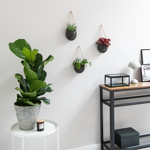 Kazai. Wall Planters -Ellie- | Hanging Ceramic Plant Pots 3 Pieces | Wall Decoration for Indoors, Balcony and Garden | Graphite (Matte) - Image 4