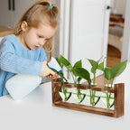 Plant Propagation Stations Heart Plant Terrarium Kit - Image 5