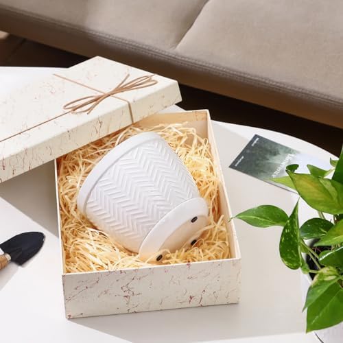 6.5" Ceramic Plant Pots Set of 2, Crisp White Embossed Planters with Saucer - Image 6