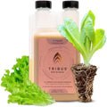 Tribus Organic Microbial Inoculant | Root Booster for Plants, Increases Plant Yield, Root Growth, Flower & Fruit Quality | Made in the USA | Visible Root Growth in 24Hrs | Potent Rhizobacteria 16.9oz by ImpelloBiosciences