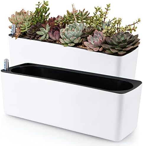 Skelang 2-Pack Self Watering Planter, Rectangle Flower Pot with Water Level Indicator, Window Gardening Box for Indoor Plants, Succulent, Sprout, Pepper by Skelang