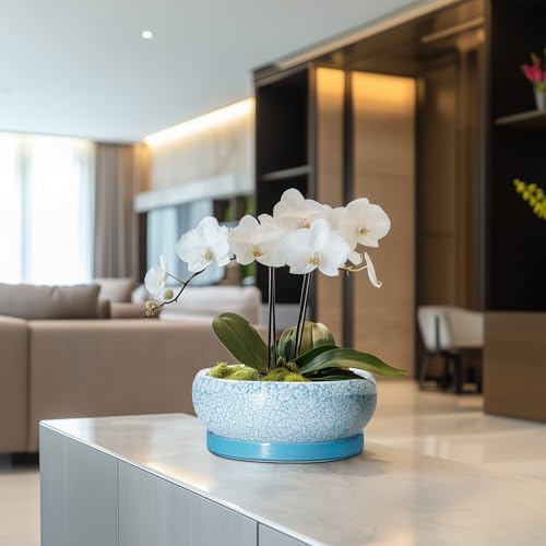 Succulent Pots 8 Inch - Ceramic Bonsai Pots with Drainage Hole and Saucer, Succulent Planters for Indoor Plants Outdoor, Round Shallow Planter Bowl, Porch Decor, Gardening Gifts, Blue - Image 5