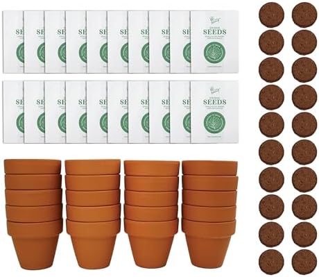 Buzzy Seeds Daisy Grow Kit, 20-Pack Bulk Terracotta Pots, Indoor Garden by BUZZY