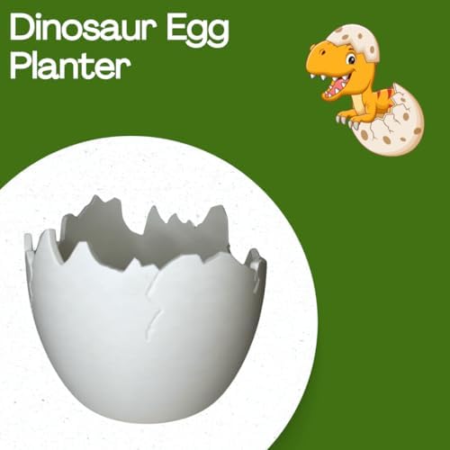 Chatelet Dinosaur Egg Shell Planter | Paintable Cracked Egg Plant Pot for Indoor & Outdoor Use | Succulent, Flower, Herb & Vegetable Planter | Decorative Garden Pot | Made in USA (Large White) - Image 2