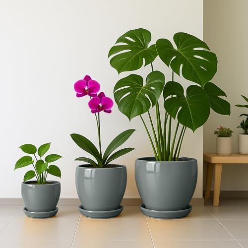 Deep Dream 10 Inch Plant Pot- Ceramic Planter Pot Round Plant Pots for Indoor Plants Outdoor Large Flower Pot with Drainage Holes & Trays, Grey - Image 6