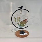 WGV Glass Hanging Plant Terrarium Bulk, Width 5", Height 5", Heart Valentine DIY Succulent Air Planter Clear Tea Light Votive Candle Holder for Event Home Garden Outdoor Decor, 6 Pieces - Image 4