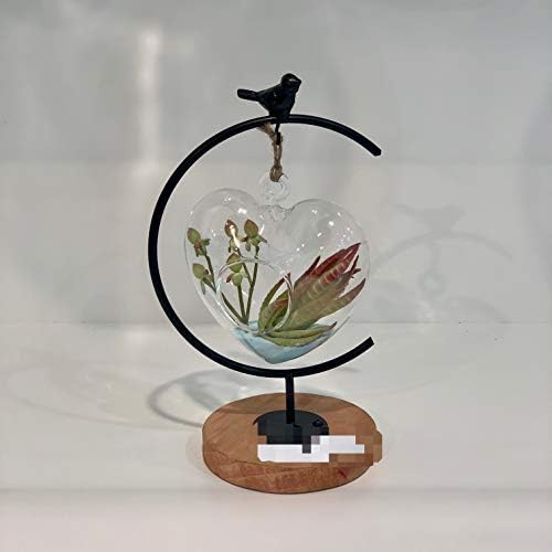 WGV Glass Hanging Plant Terrarium Bulk, Width 5", Height 5", Heart Valentine DIY Succulent Air Planter Clear Tea Light Votive Candle Holder for Event Home Garden Outdoor Decor, 6 Pieces - Image 4