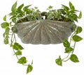 Milisten Ceramic Wall Planter Shell Shape Hanging Flower Pots for Succulent Indoor Outdoor Mount Flower Holder with Drainage Hole by Milisten