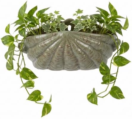 Milisten Ceramic Wall Planter Shell Shape Hanging Flower Pots for Succulent Indoor Outdoor Mount Flower Holder with Drainage Hole by Milisten