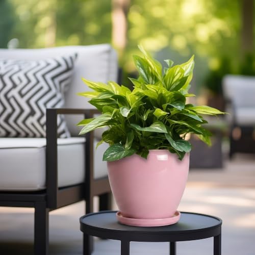 Ceraimc 8 Inch Plant Pot, Ceraimc Planters for Indoor Plants, Pink - Image 4