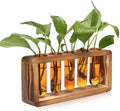 Glass Plant Propagation Station with 5 Test Tubes Colorful Planter Vase by YYHglass