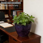 Porcelain Inspired Resin Orchid Pot for Cacti and Orchids Decorative - Image 4