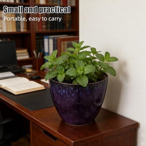 Porcelain Inspired Resin Orchid Pot for Cacti and Orchids Decorative - Image 4