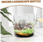 Micro Landscape Planter Bottle Terrarium Glass Display Container Xmas - Image 3